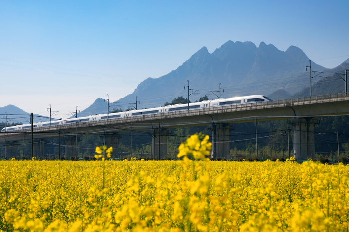 高铁列车行驶在杭黄高铁安徽绩溪段。本报通讯员 周斯跃 摄