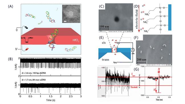 图3固态纳米孔检测100bp的单链DNA、双链DNA以及60nm的纳米微球