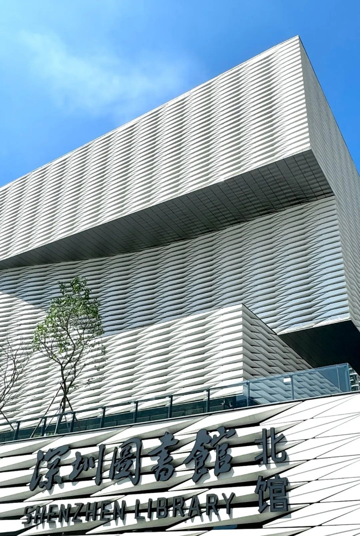 深圳新闻网记者 蔡沐伯 周佳雯 摄