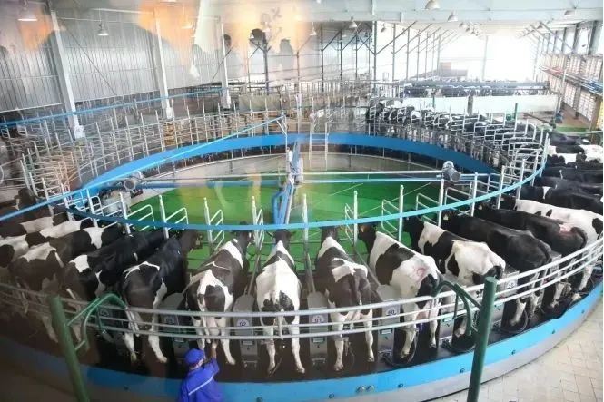 图源：君乐宝工业旅游