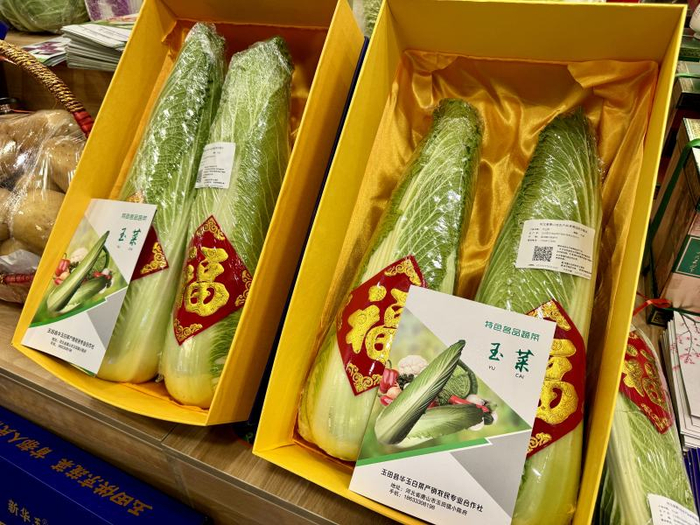 河北唐山玉田县特色名品蔬菜——玉菜。新京报记者 耿子叶 摄