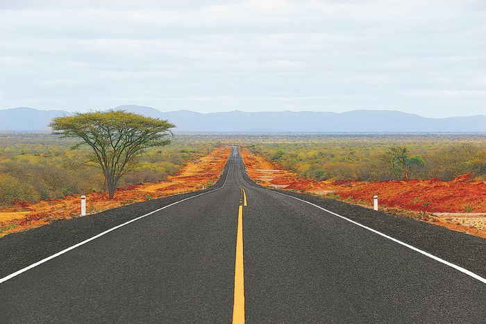     由中国武夷建设的肯尼亚新A2项目穿过广袤的草原。（受访单位供图）