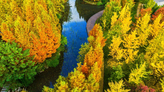 明湖国家湿地公园秋意浓。郭君海/摄