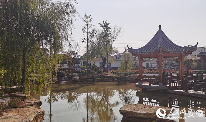 大岗村水榭亭阁,仿佛置身江南水乡.人民网 胡雨松摄