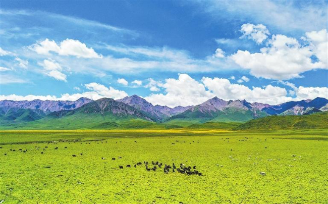 祁连山地貌景观 王建平