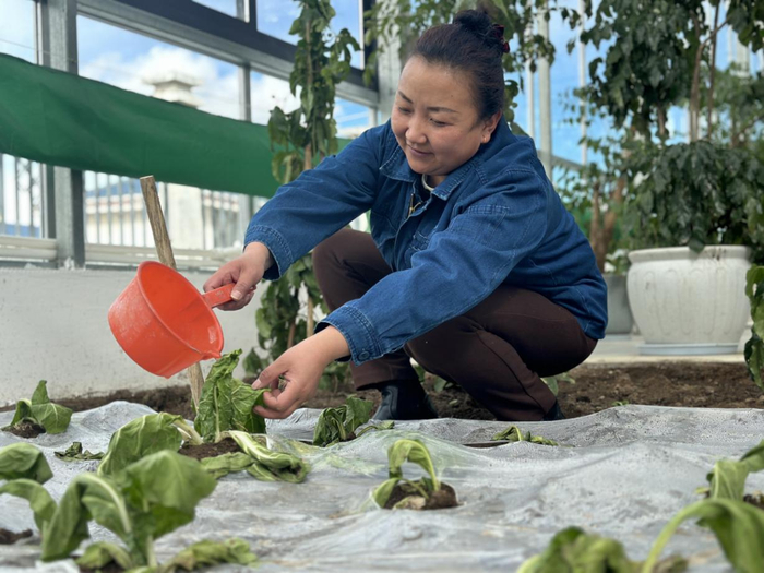 图：员工正在种蔬菜