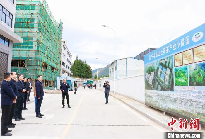 11月2日，2023年宁德市委市政府拉练检查工作活动走进周宁县茶产业小微园。林榕生 摄