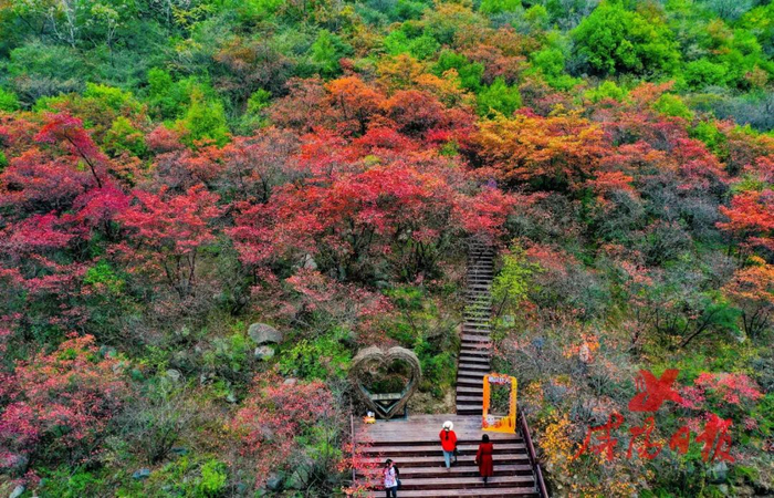       石门山森林公园。