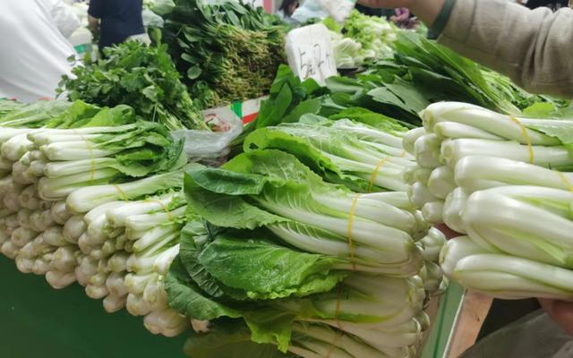 北京东城区特吉特果蔬市场的奶白菜。新京报记者 刘欢 摄