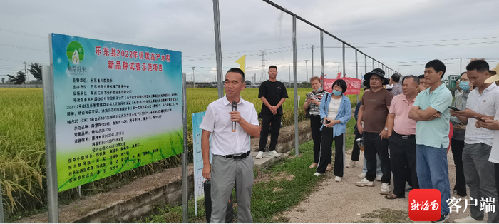 　　11月2日，2023年优质高产水稻、“海南好米”品种示范项目现场观摩培训会在乐东抱孔洋举行。记者 利声富 摄