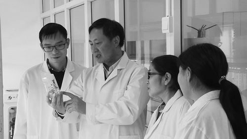 ③国家特色油料产业技术体系首席科学家张海洋（左二）指导团队开展芝麻优异新种质创制。