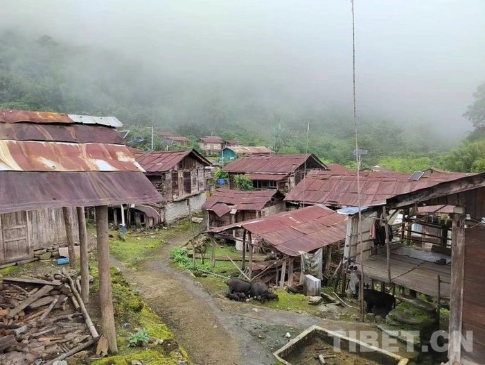 图为墨脱县背崩乡巴登村搬迁前的原村落图片由三峡集团驻巴登村驻村工作队提供