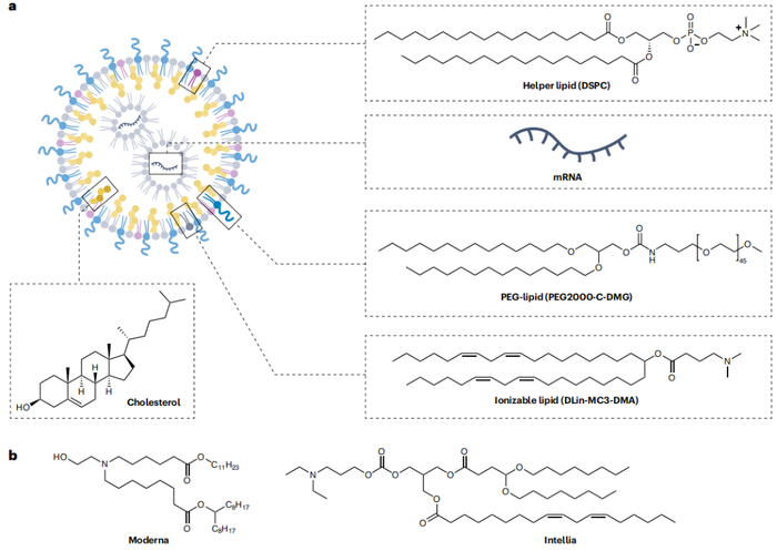 FDA批准的LNP的四种组分