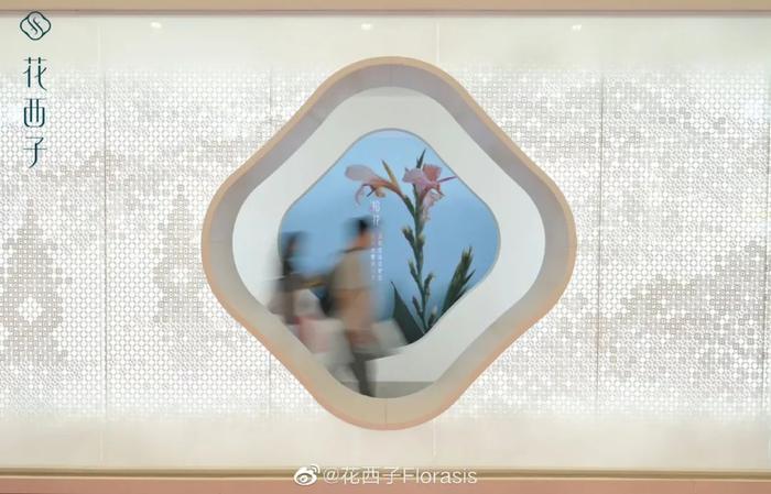 好用的粉饼排行榜_整理了一下最近比较热门的定妆散粉攻略……
