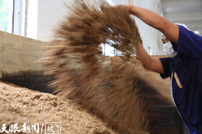 晒醋工人正在翻倒醋醅。（赤水市融媒体中心供图）