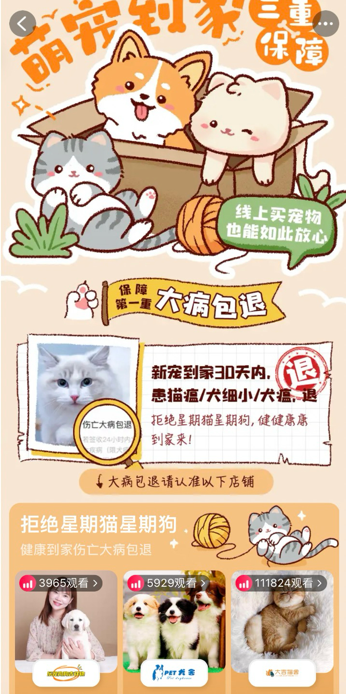 上淘宝搜索“买宠物大病包退”关键词，即可进入页面