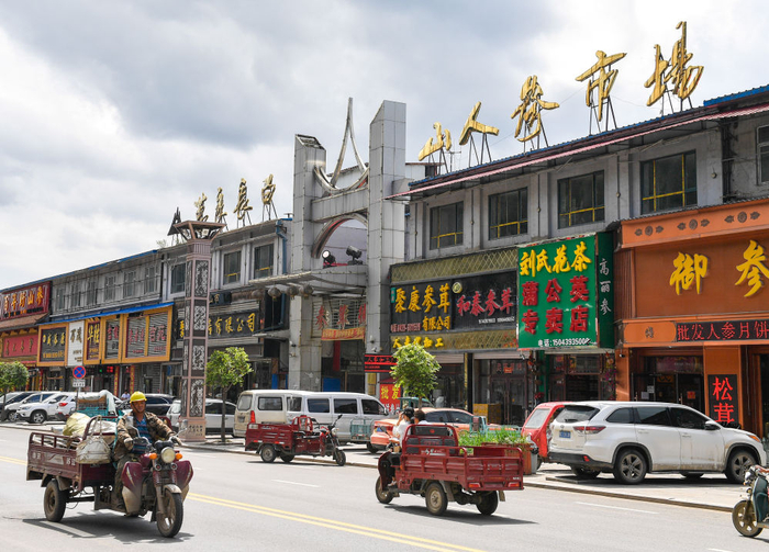 这是2020年8月28日在吉林省抚松县万良镇拍摄的万良长白山人参市场。新华社记者 许畅 摄