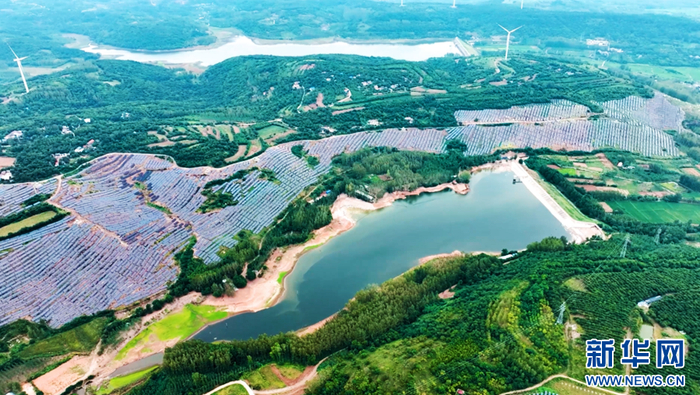  滁州市来安县长山村光伏电站。新华网发（张志东 摄）