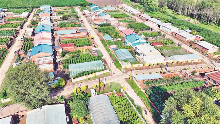 兰西镇永久村头道沟屯小菜园