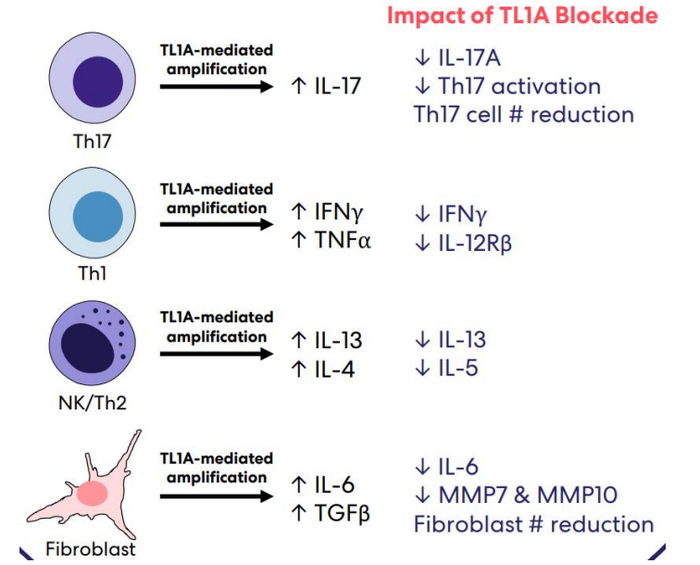 图. TL1A阻断的作用机制