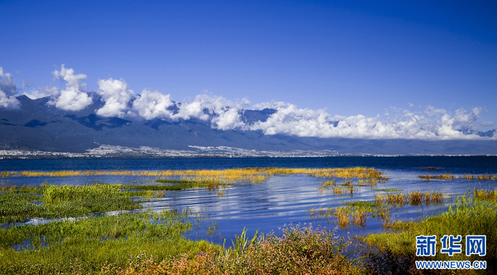 大理市洱海国家重要湿地(资料图).新华网发(郑兴 摄)