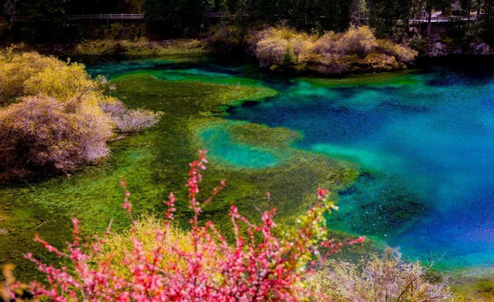 图源：黄龙风景区