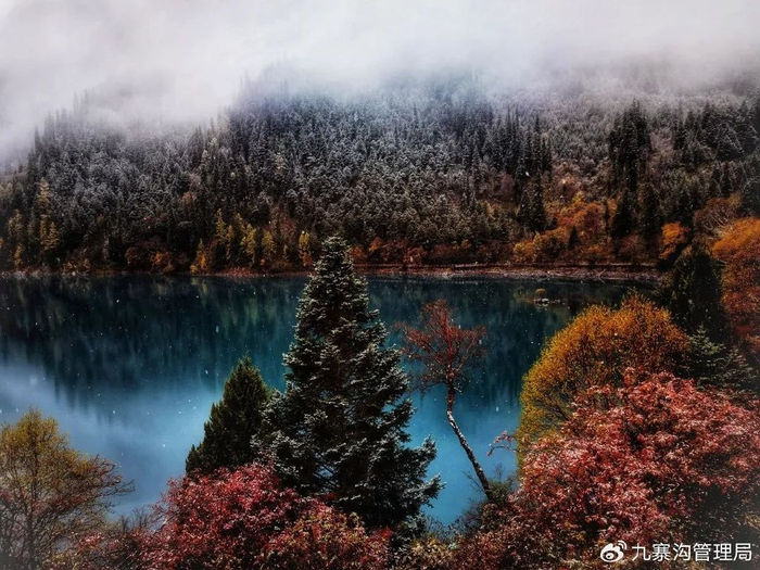 摄影：梁飒 / 九寨沟管理局