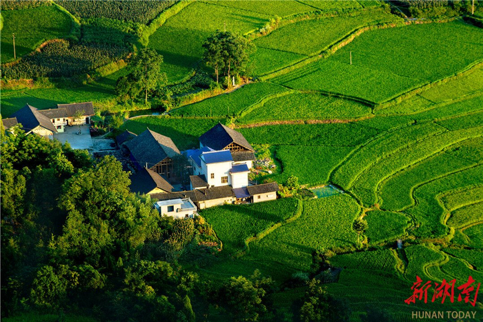 看花垣县如何以"十八洞村"为蓝本创新"两山"转化实践|特色产业_新浪