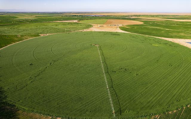 乌兰布和沙漠有机奶源基地。企业供图