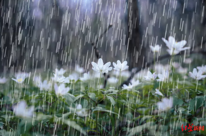 ▲对下雨征税已有先例