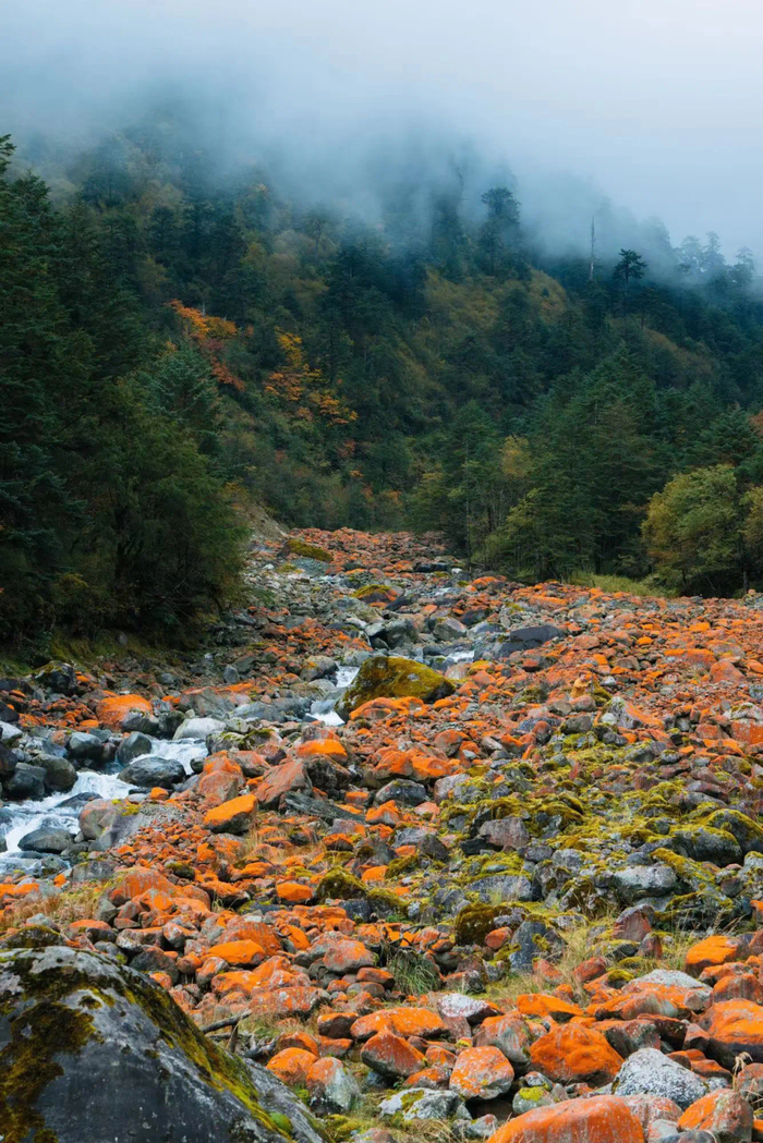 图源：二郎山喇叭河