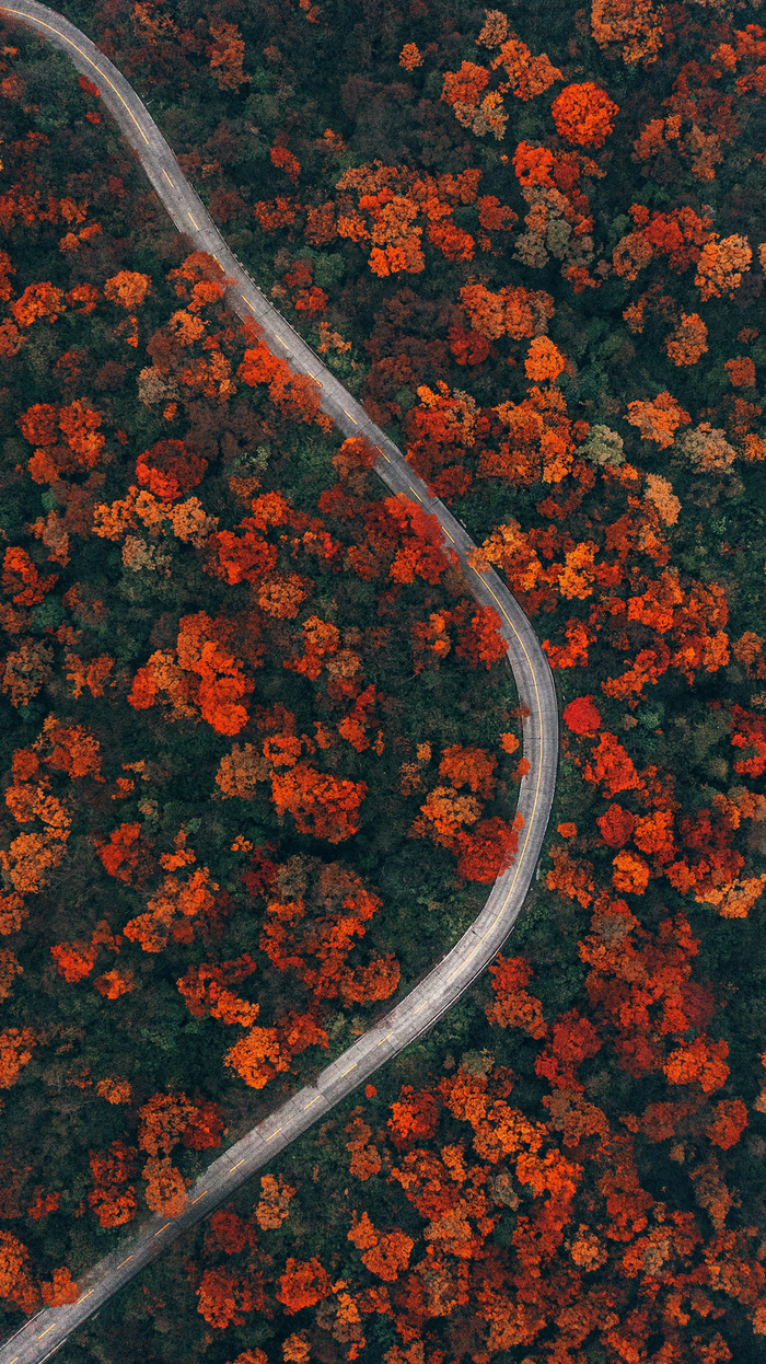 摄影：杨平 / 峨眉山景区