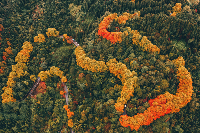 摄影：杨平 / 峨眉山景区