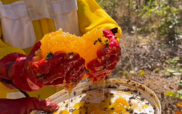 产自赞比亚的蜂蜜。受访者供图