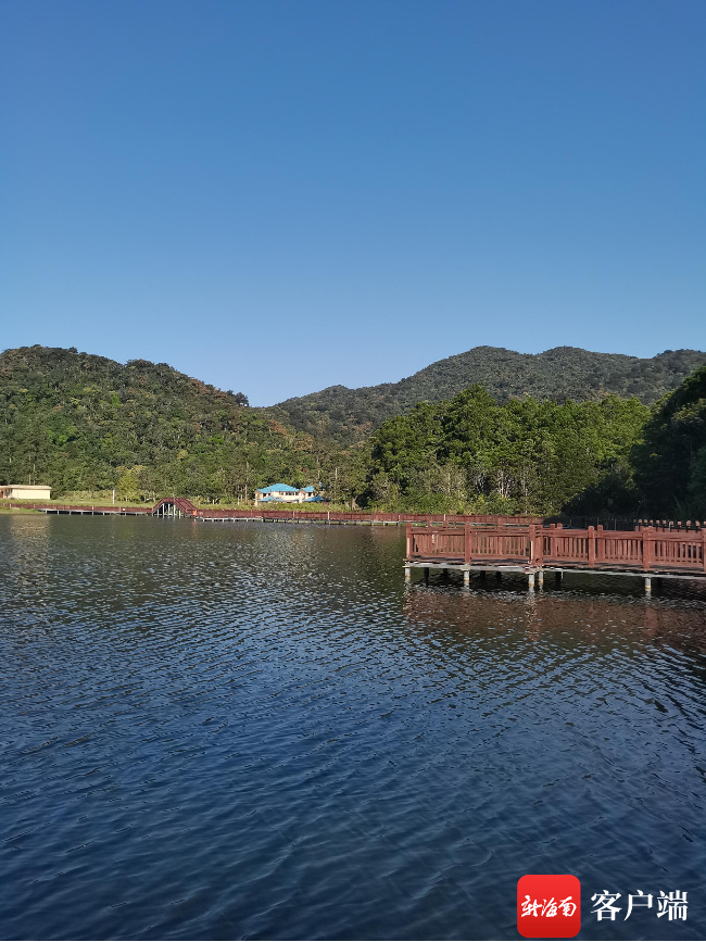 海南热带雨林国家公园体制试点区吊罗山片区内的湖泊.记者 利声富 摄