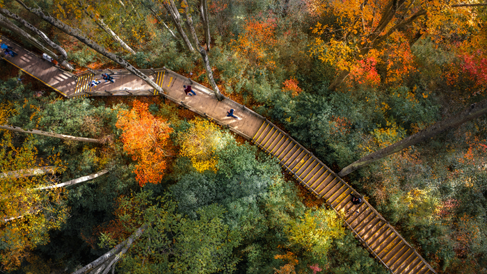 图源：光雾山旅游景区