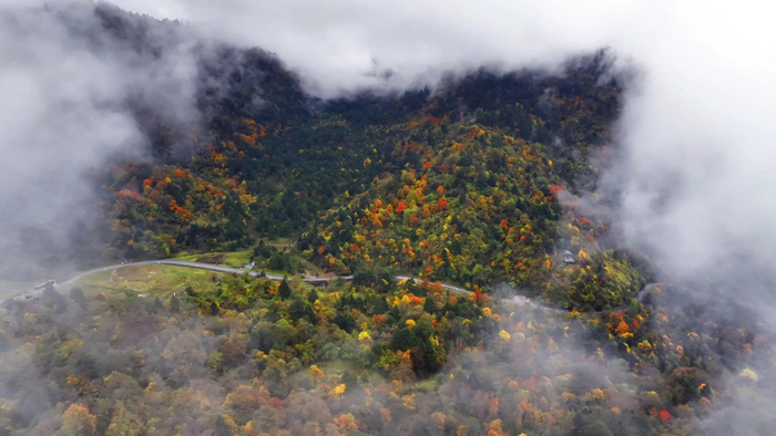 图源：二郎山喇叭河