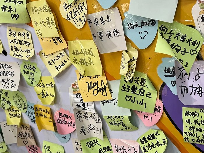 ▲ “煎饼狗子”的粉丝留言板。图 / 每日人物摄