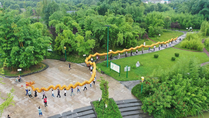 2019年8月1日，四川青神83.40竹编龙获“世界最长竹龙”认证 