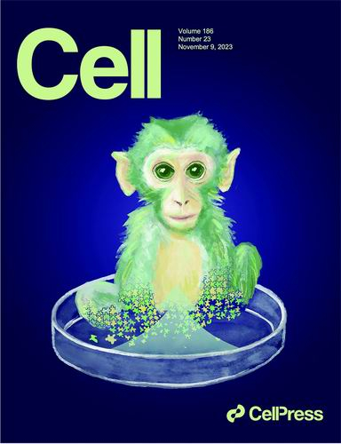 当期《细胞》封面。神经科学研究所供图