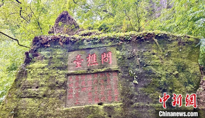 武夷山历代留下的大量的摩崖石刻随处可见。中新社记者 张丽君 摄