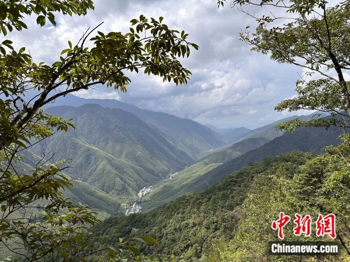 武夷山国家公园黄岗山断裂带大峡谷。中新社记者 张丽君 摄