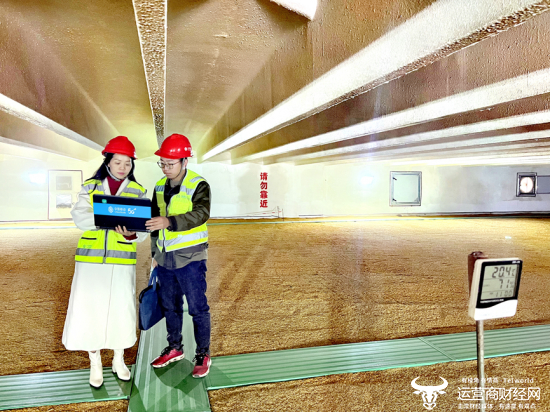 （移动技术人员优化粮库内网络）