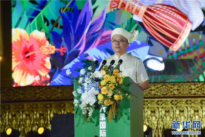 景洪市委副书记,市人民政府党组书记,市长刀海清致辞(11月11日摄).