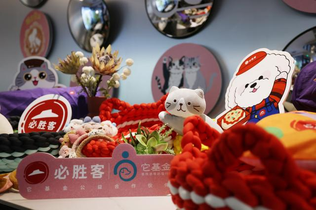 必胜客与“它基金”携手开展关爱流浪动物行动。受访者供图