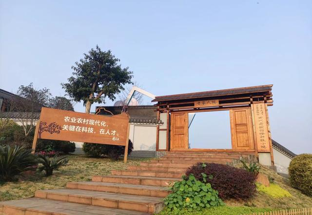 丹棱桔橙科技小院 张丽君 摄