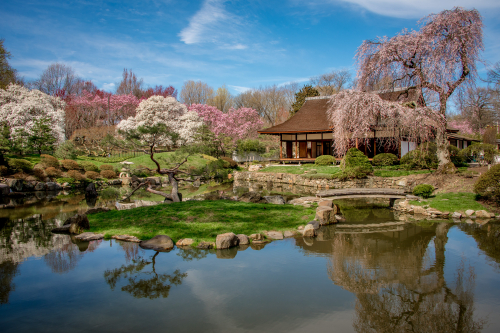 费尔芒特公园, 松风庄花园