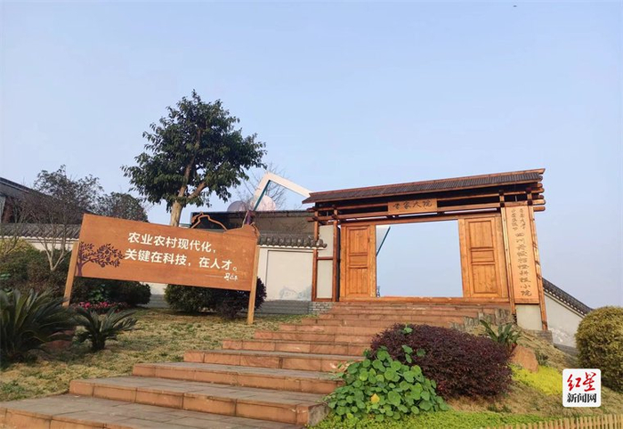 丹棱桔橙科技小院 张丽君|摄