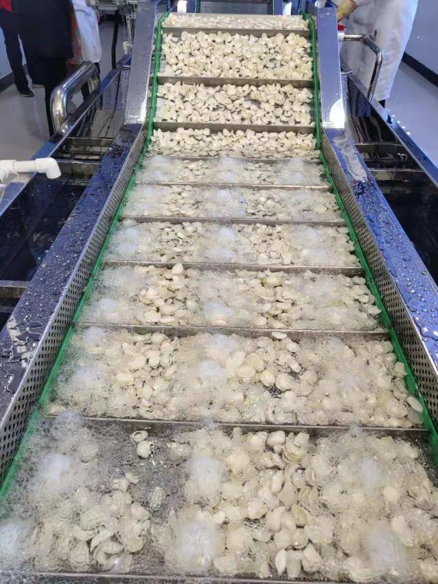 雪源金正公司百合生产线