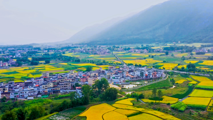 美丽的田园风光。钟华 摄